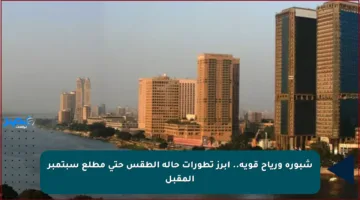 شبورة ورياح قوية.. أبرز تطورات حالة الطقس حتى مطلع سبتمبر المقبل